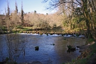 Ruta: Río Tea, Cernadela-Tatín